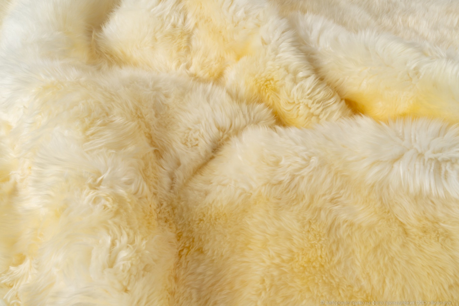 Шкура Sheepskin Овчина Белый